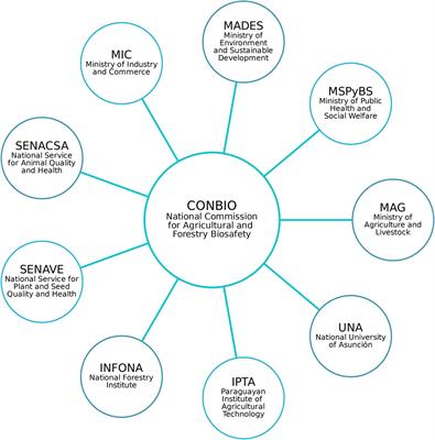 Paraguay’s approach to biotechnology governance: a comprehensive guide